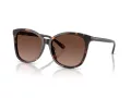 Coach L1101 Solbriller HC 8271U 5120T5