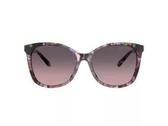 Coach L1101 Solbriller HC 8271U 584346