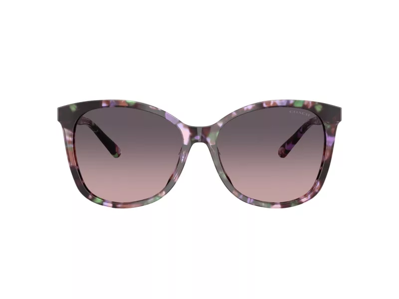 Coach L1101 Solbriller HC 8271U 584346