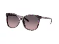 Coach L1101 Solbriller HC 8271U 584346