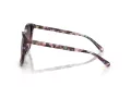 Coach L1101 Solbriller HC 8271U 584346
