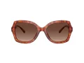 Coach L1147 Solbriller HC 8295 5774T5