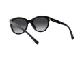 Coach L1149 Solbriller HC 8297U 50028G
