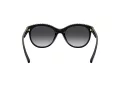 Coach L1149 Solbriller HC 8297U 50028G