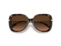 Coach C6180 Solbriller HC 8320 512074