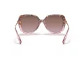 Coach C6180 Solbriller HC 8320 56505M