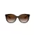 Coach C6181 Solbriller HC 8321 51203B