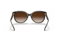Coach C6181 Solbriller HC 8321 51203B