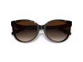 Coach C6181 Solbriller HC 8321 51203B