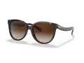 Coach C6181 Solbriller HC 8321 51203B