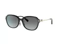 Coach C6199 Solbriller HC 8332D 500211