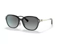 Coach C6199 Solbriller HC 8332D 500211