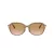 Coach C6199 Solbriller HC 8332D 565413
