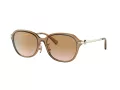 Coach C6199 Solbriller HC 8332D 565413
