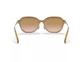 Coach C6199 Solbriller HC 8332D 565413