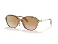 Coach C6199 Solbriller HC 8332D 565413