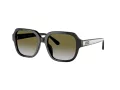 Coach C7989 Solbriller HC 8335U 50027Z