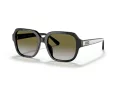 Coach C7989 Solbriller HC 8335U 50027Z