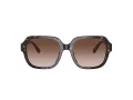 Coach C7989 Solbriller HC 8335U 512013
