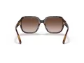 Coach C7989 Solbriller HC 8335U 512013