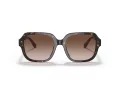 Coach C7989 Solbriller HC 8335U 512013