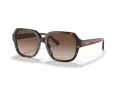 Coach C7989 Solbriller HC 8335U 512013