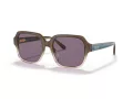 Coach C7989 Solbriller HC 8335U 56781A