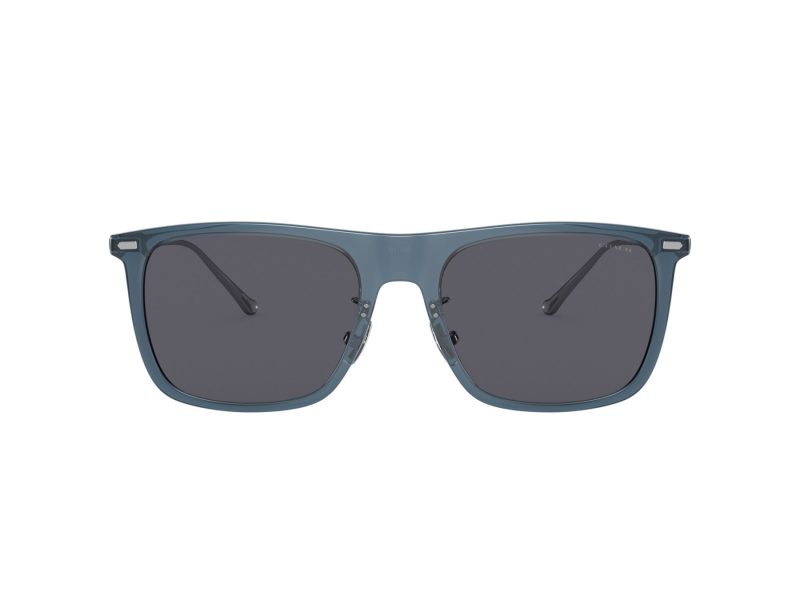 Coach Cd456 Solbriller HC 8356 520387