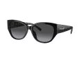 Coach Ch563 Solbriller HC 8362U 50028G
