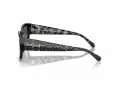 Coach Ch563 Solbriller HC 8362U 50028G