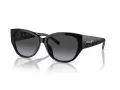 Coach Ch563 Solbriller HC 8362U 50028G
