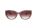 Coach Ch563 Solbriller HC 8362U 57398H