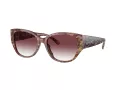 Coach Ch563 Solbriller HC 8362U 57398H
