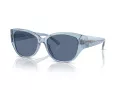 Coach Ch563 Solbriller HC 8362U 574080