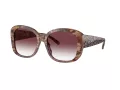 Coach Ch564 Solbriller HC 8363U 57398H