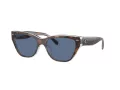 Coach Ch570 Solbriller HC 8370U 574280