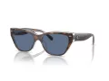 Coach Ch570 Solbriller HC 8370U 574280