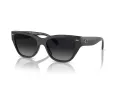 Coach Ch570 Solbriller HC 8370U 5764T3