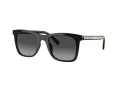 Coach Ch561 Solbriller HC 8374U 50028G