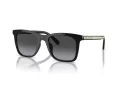 Coach Ch561 Solbriller HC 8374U 50028G
