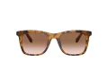 Coach Ch561 Solbriller HC 8374U 512013