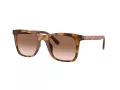 Coach Ch561 Solbriller HC 8374U 512013