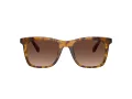 Coach Ch561 Solbriller HC 8374U 5120T5
