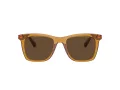 Coach Ch561 Solbriller HC 8374U 57483G