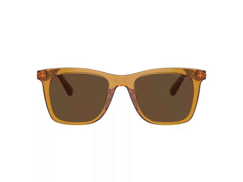 Coach Ch561 Solbriller HC 8374U 57483G