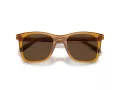 Coach Ch561 Solbriller HC 8374U 57483G