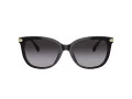 Coach Cl926 Solbriller HC 8378U 50028G