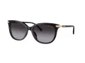 Coach Cl926 Solbriller HC 8378U 50028G