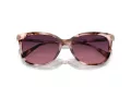 Coach Cl926 Solbriller HC 8378U 5528F4