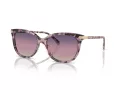 Coach Cl926 Solbriller HC 8378U 5777U6